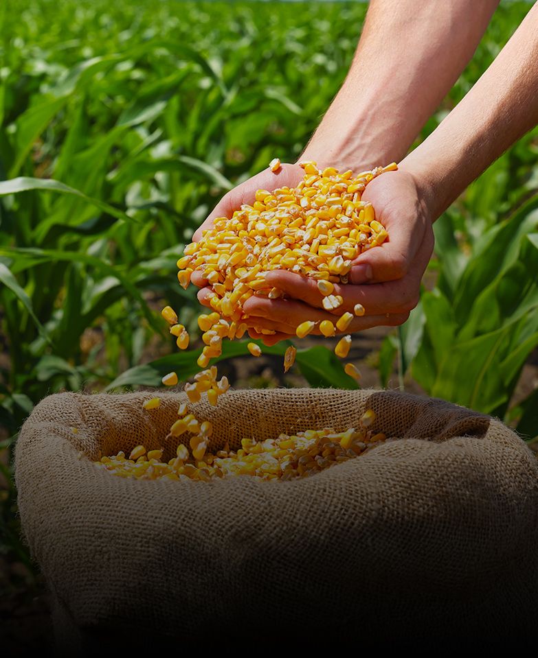 PM Fasal Bima Yojana